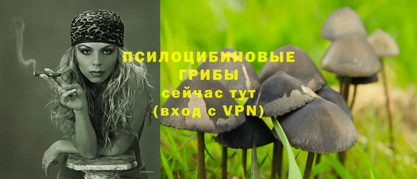 дживик Каменка