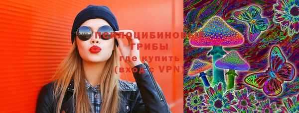 круглые Каменногорск