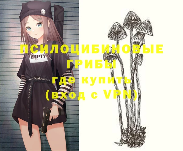 дживик Каменка
