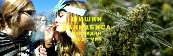 дживик Каменка
