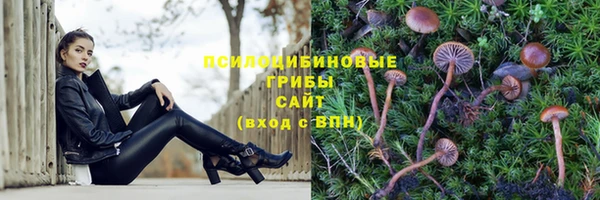 круглые Каменногорск
