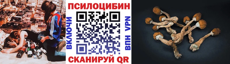 как найти   Новороссийск  блэк спрут маркетплейс  Галлюциногенные грибы прущие грибы 