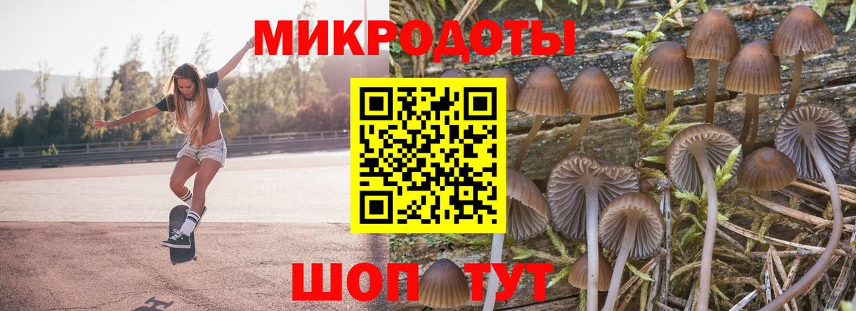 Новороссийск  как найти наркотики  Галлюциногенные грибы мицелий  Вход с VPN  Псилоцибиновые грибы MAGIC MUSHROOMS 